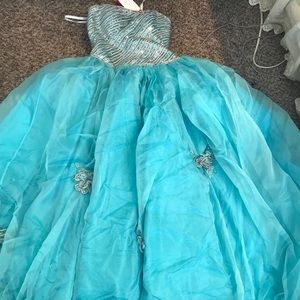 Brand New Prom or Quinceañera Dress